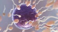 Estudo visa melhorar diagnóstico e tratamento da infertilidade masculina