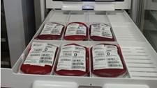 HDS atribui “identidade digital” às unidades de sangue doadas