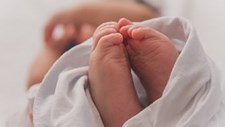 Investigadora de Coimbra estuda desenvolvimento cerebrovascular de bebés