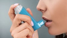 Investigadores criam ferramenta digital para controlo diário da asma