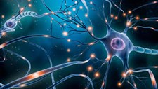 Investigadores vão criar modelo dos neurónios afetados pela “doença dos pezinhos”