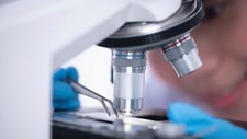P-BIO divulga estudo sobre o setor da biotecnologia em Portugal