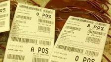 Serviço de Sangue do CHUC recebe dupla acreditação pela DGS
