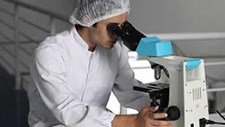 Há mais de 220 mil euros para projetos de investigação em oncologia
