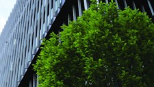 ECO@SAÚDE evolução 2019–2025 e contributo dos programas de financiamento