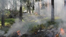 Autorizada produção adicional de cuidados para responder às vítimas dos incêndios