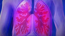 Sociedade Portuguesa de Pneumologia reforça a importância da vacinação na promoção da saúde pulmonar