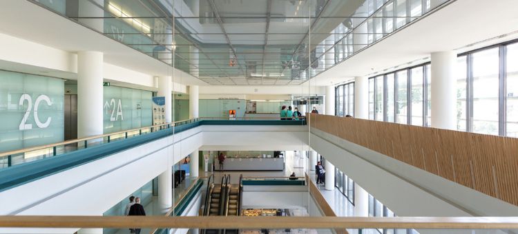 Engenharia e manutenção: a experiência da rede CUF